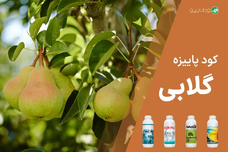 کود پاییزه گلابی