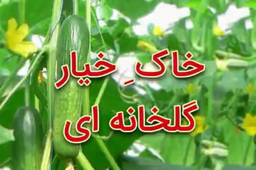 خاک خیار گلخانه ای