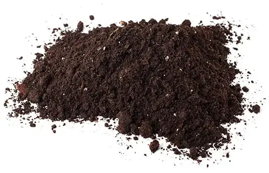 گیاخاک