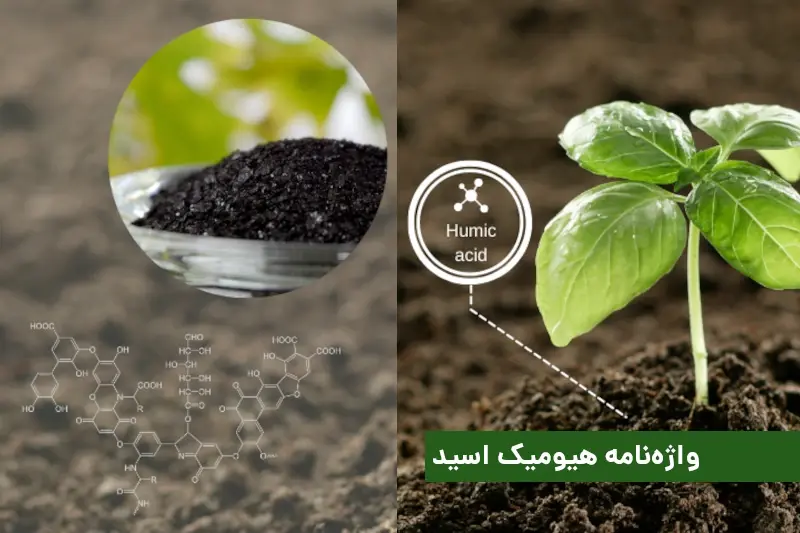 واژه‌نامه‌ی اسید هیومیک