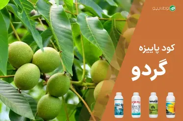 کود پاییزه گردو