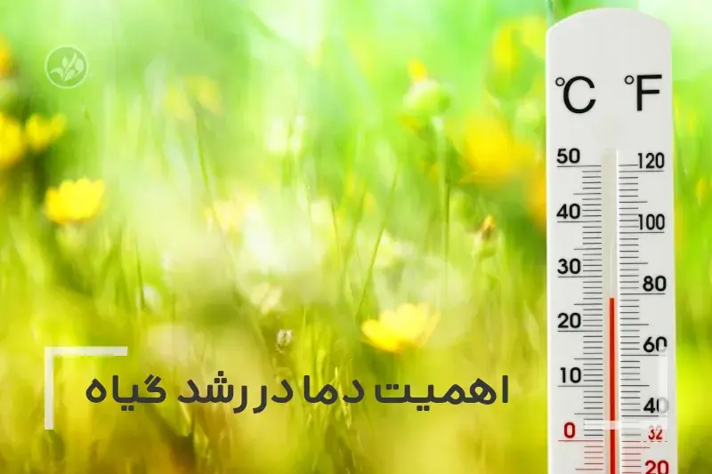 اهمیت دما در رشد گیاه