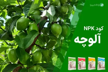 کود NPK آلوچه