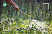 کنترل آفات گیاهی