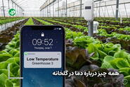 همه چیز درباره دمل در گلخانه