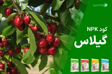 کود NPK گیلاس
