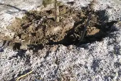 رابطه‌ی شوری خاک و ورمی کمپوست