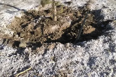 رابطه‌ی شوری خاک و ورمی کمپوست