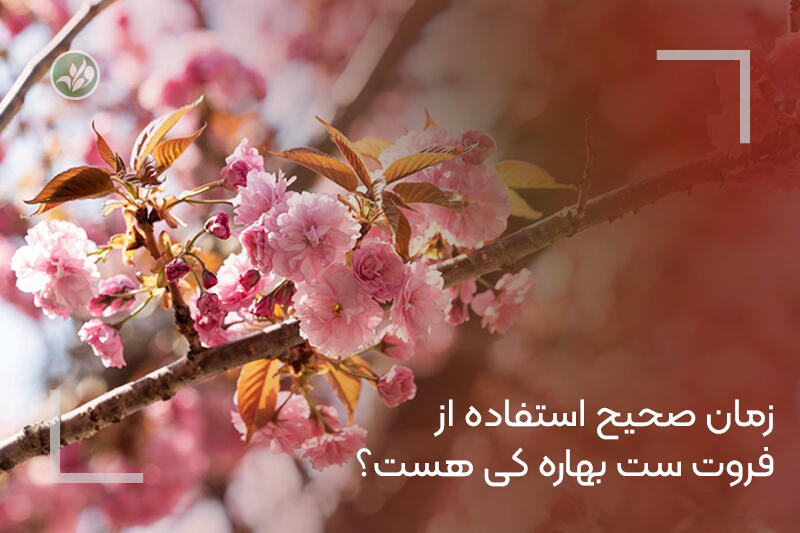 زمان صحیح استفاده از فروت‌ست بهاره