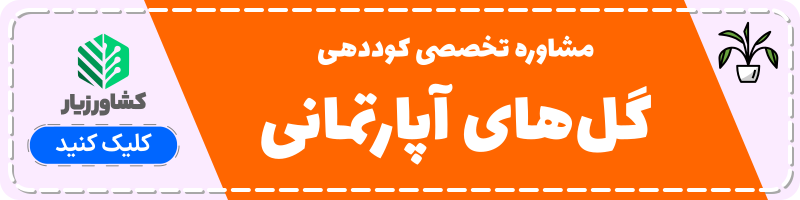 مشاوره تخصصی کوددهی گل‌های آپارتمانی