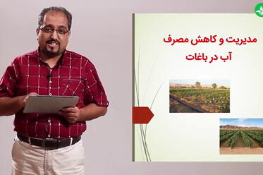 مدیریت و کاهش مصرف آب در یاغات