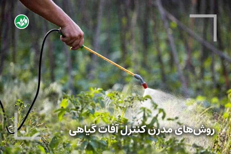 کنترل آفات گیاهی