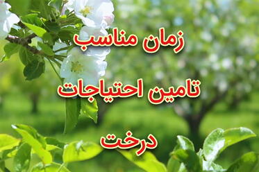 زمان مناسب کوددهی درختان میوه