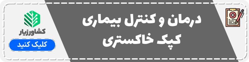 درمان و کنترل بیماری کپک خاکستری