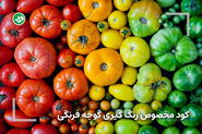 رنگ گیری گوجه فرنگی